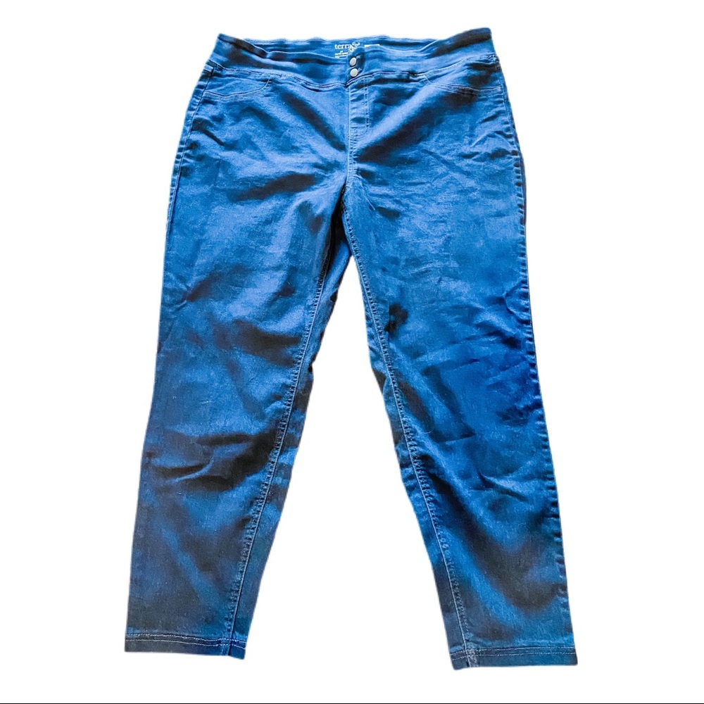 Terra and Sky Stretch Skinny Jeans 2x